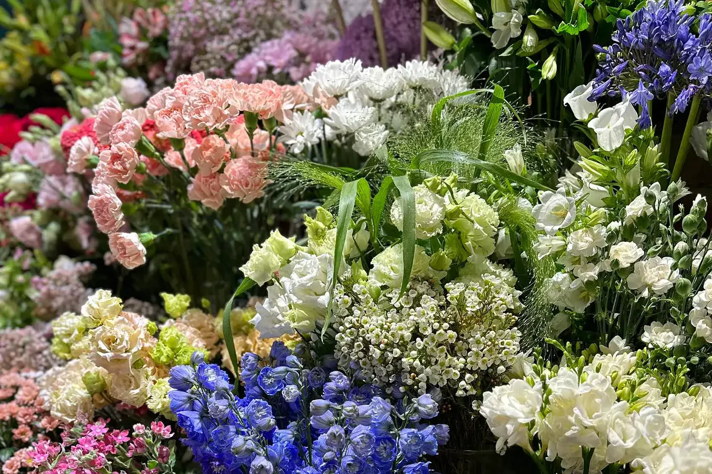 Kolorowe kwiaty w różnych gatunkach